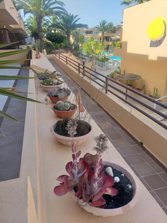 דירות קורלחו Casa El Nidillo מראה חיצוני תמונה